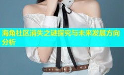 海角社区消失之谜探究与未来发展方向分析