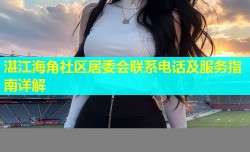 湛江海角社区居委会联系电话及服务指南详解