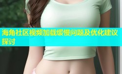 海角社区视频加载缓慢问题及优化建议探讨