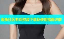 海角社区老刘资源下载及使用指南详解