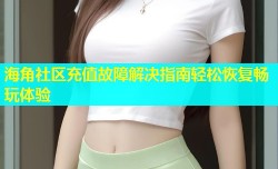 海角社区充值故障解决指南轻松恢复畅玩体验