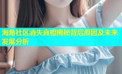 海角社区消失真相揭秘背后原因及未来发展分析