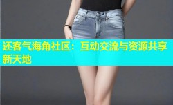 还客气海角社区：互动交流与资源共享新天地