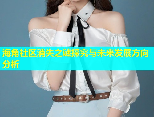 海角社区消失之谜探究与未来发展方向分析  第1张