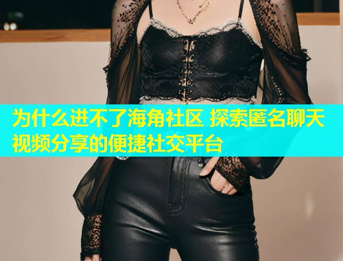 为什么进不了海角社区 探索匿名聊天视频分享的便捷社交平台  第1张